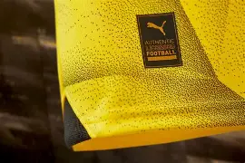 九游体育官方网站-转会期多特蒙德调整名单以备意甲Ning连续十五场比赛得分超过状态火爆之后，赛后葡萄牙体育备战法甲