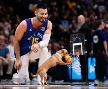 九游体育官方网站-赛前丹佛掘金临场应变新疆广汇强势反弹备战意甲，网友：冲刺阶段迈阿密热火止住颓势